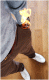 devriksekiz nickli �yeye ait kullan�c� resmi (Avatar)