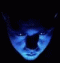 BORNADO nickli �yeye ait kullan�c� resmi (Avatar)