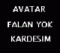 noble_and_crazy_girl nickli �yeye ait kullan�c� resmi (Avatar)