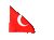 ,bayrak2